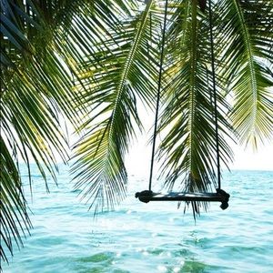 Meet your Posher, Miriam